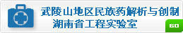 MK体育官网