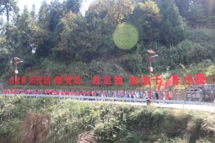 MK体育官网