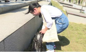 MK体育官网