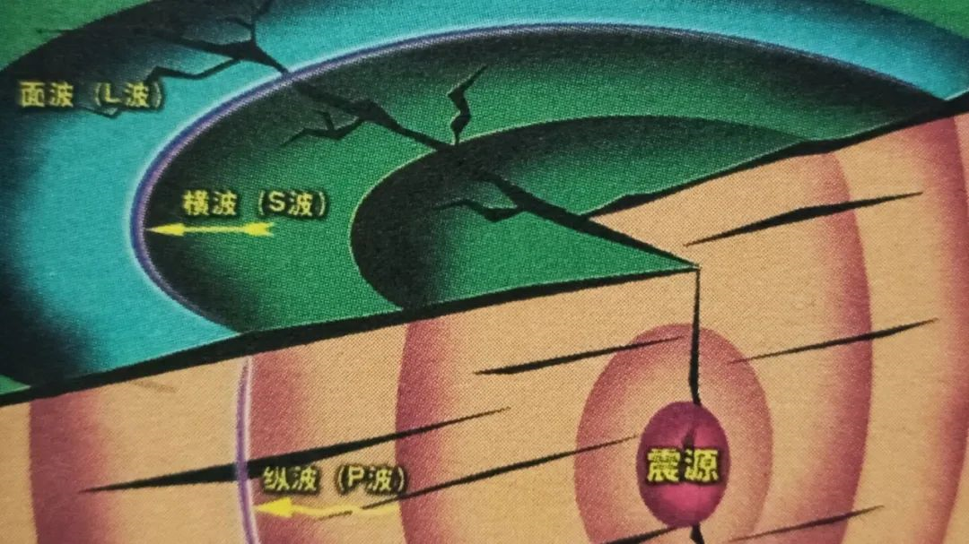MK体育官网