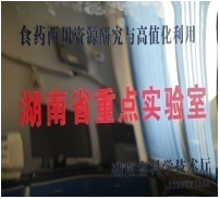 MK体育官网