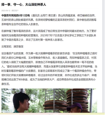 MK体育官网