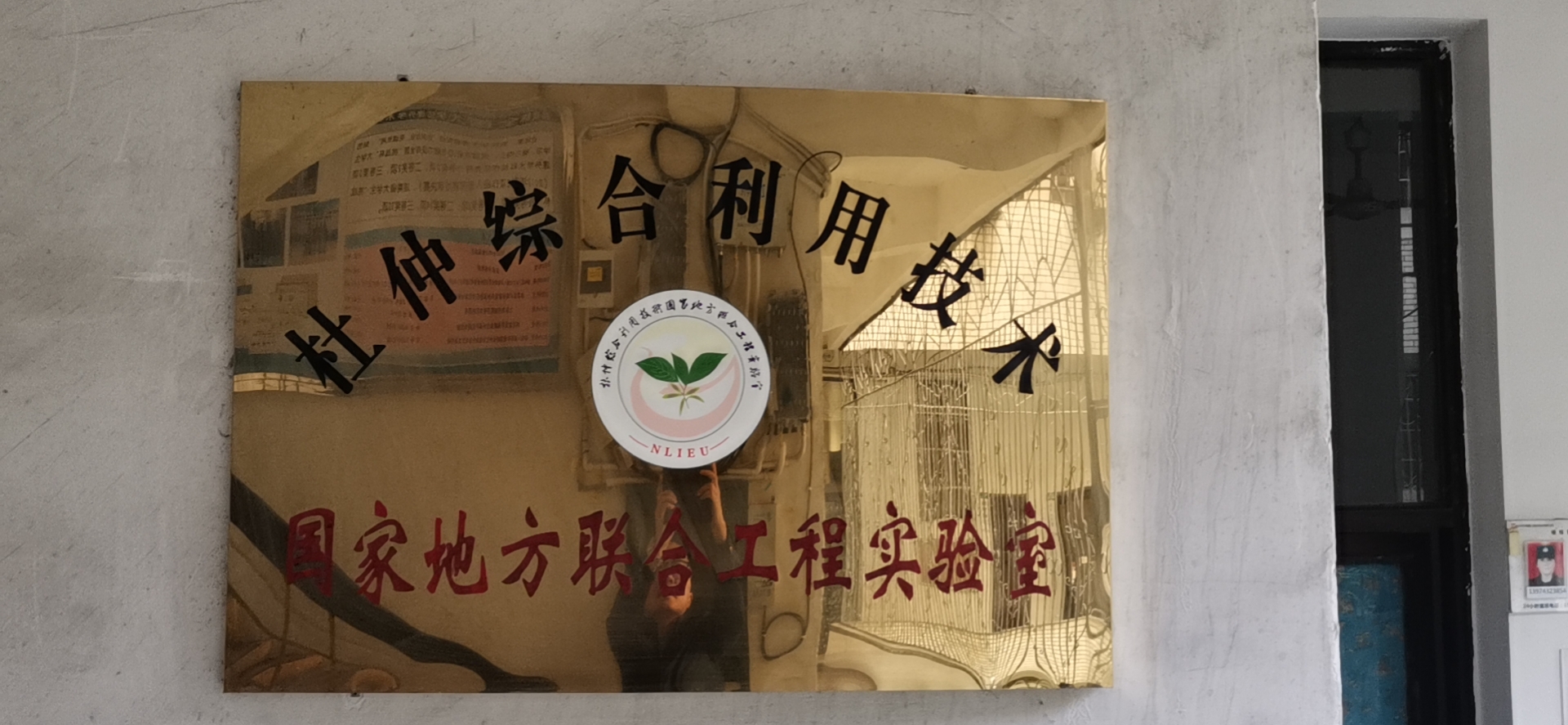 MK体育官网