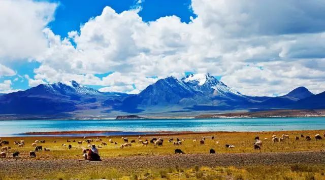 undefined MK体育官网